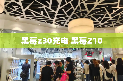 黑莓z30充电 黑莓Z10-第1张图片-星选测评