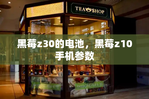 黑莓z30的电池，黑莓z10手机参数-第1张图片-星选测评