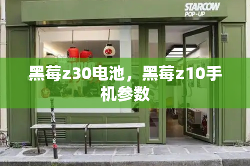 黑莓z30电池，黑莓z10手机参数-第1张图片-星选测评