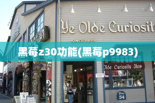 黑莓z30功能(黑莓p9983)