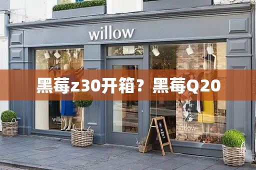 黑莓z30开箱？黑莓Q20
