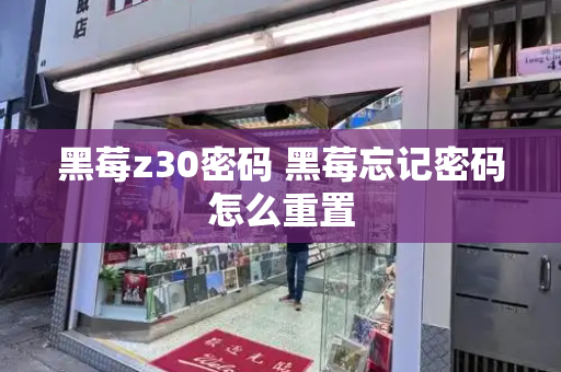 黑莓z30密码 黑莓忘记密码怎么重置-第1张图片-星选测评
