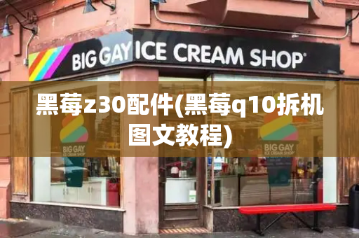 黑莓z30配件(黑莓q10拆机图文教程)