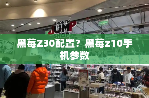 黑莓Z30配置？黑莓z10手机参数