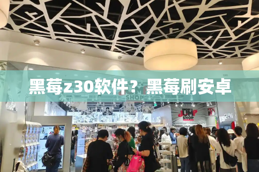 黑莓z30软件？黑莓刷安卓