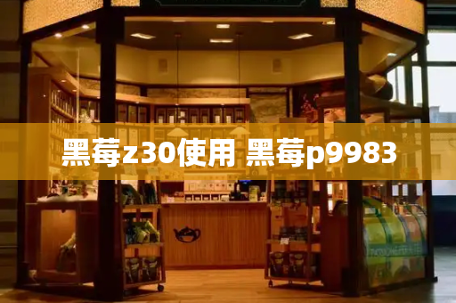 黑莓z30使用 黑莓p9983