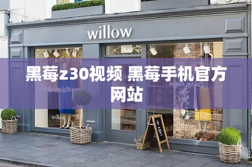 黑莓z30视频 黑莓手机官方网站-第1张图片-星选测评