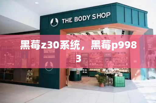 黑莓z30系统，黑莓p9983