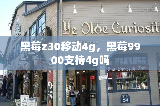 黑莓z30移动4g，黑莓9900支持4g吗