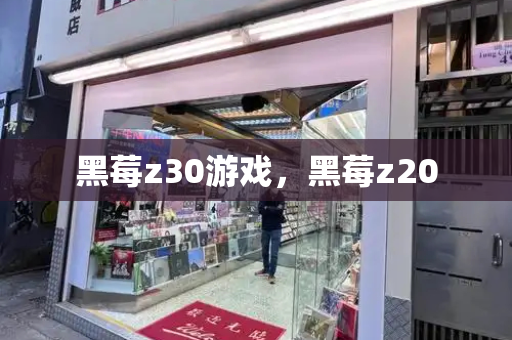 黑莓z30游戏，黑莓z20-第1张图片-星选测评