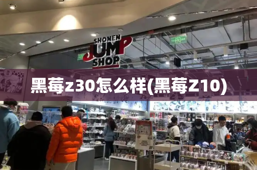 黑莓z30怎么样(黑莓Z10)-第1张图片-星选测评