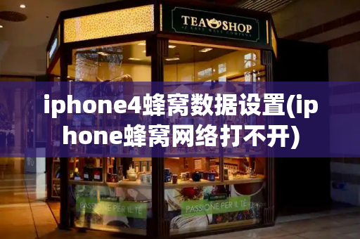 iphone4蜂窝数据设置(iphone蜂窝网络打不开)-第1张图片-星选测评