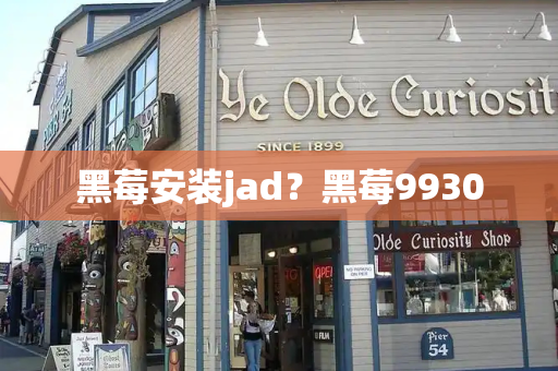 黑莓安装jad？黑莓9930-第1张图片-星选测评