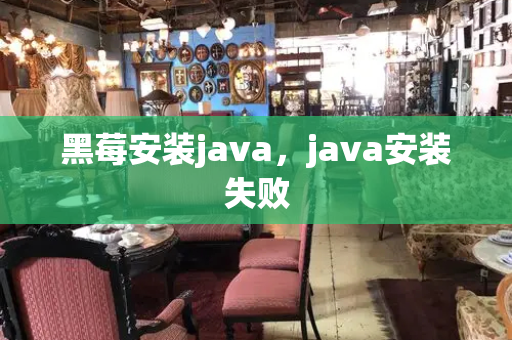黑莓安装java，java安装失败-第1张图片-星选测评