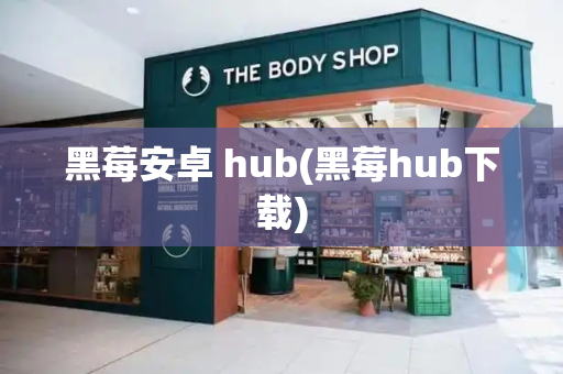 黑莓安卓 hub(黑莓hub下载)-第1张图片-星选测评
