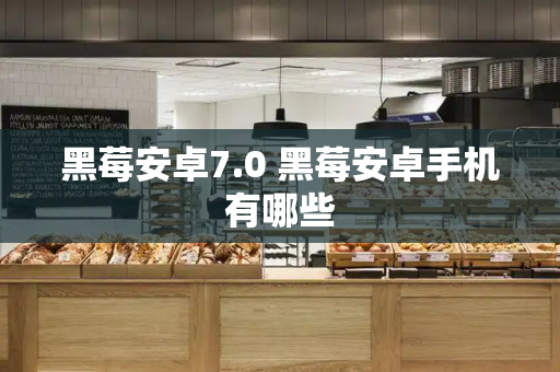 黑莓安卓7.0 黑莓安卓手机有哪些-第1张图片-星选测评