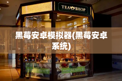 黑莓安卓模拟器(黑莓安卓系统)