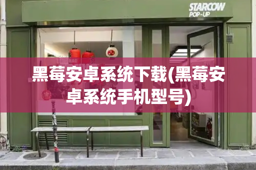 黑莓安卓系统下载(黑莓安卓系统手机型号)-第1张图片-星选测评