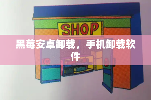 黑莓安卓卸载，手机卸载软件-第1张图片-星选测评