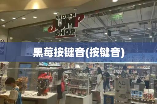 黑莓按键音(按键音)-第1张图片-星选测评