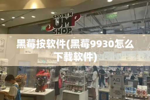 黑莓按软件(黑莓9930怎么下载软件)