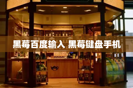黑莓百度输入 黑莓键盘手机-第1张图片-星选测评
