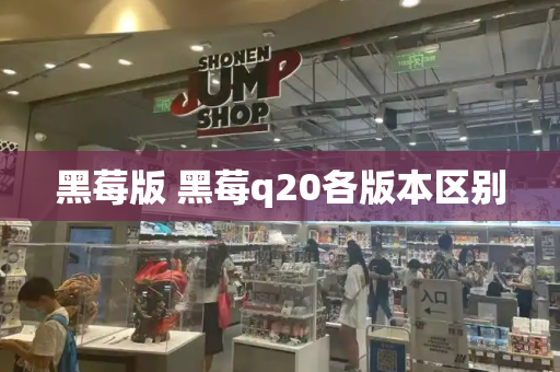 黑莓版 黑莓q20各版本区别-第1张图片-星选测评
