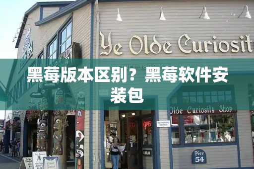 黑莓版本区别？黑莓软件安装包