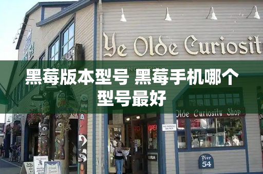 黑莓版本型号 黑莓手机哪个型号最好-第1张图片-星选测评