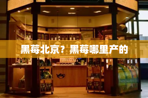 黑莓北京？黑莓哪里产的