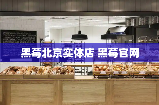 黑莓北京实体店 黑莓官网