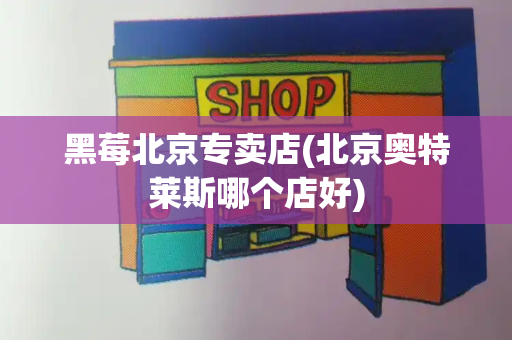 黑莓北京专卖店(北京奥特莱斯哪个店好)