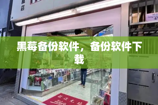 黑莓备份软件，备份软件下载