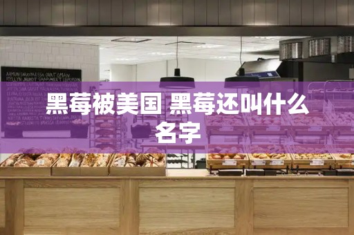 黑莓被美国 黑莓还叫什么名字