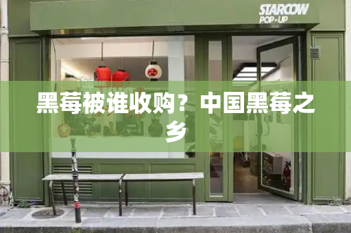 黑莓被谁收购？中国黑莓之乡