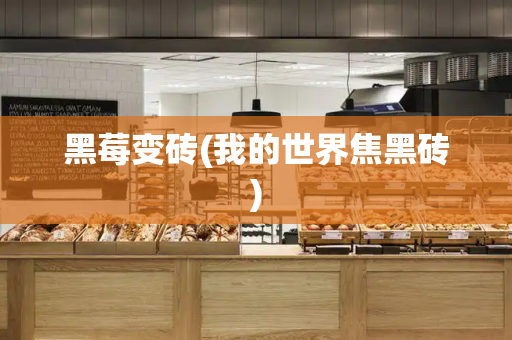 黑莓变砖(我的世界焦黑砖)-第1张图片-星选测评