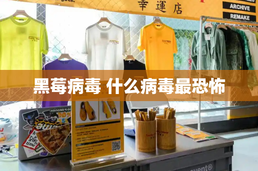 黑莓病毒 什么病毒最恐怖
