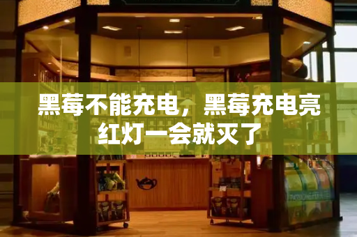 黑莓不能充电，黑莓充电亮红灯一会就灭了