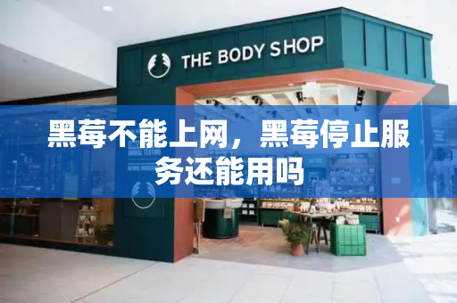 黑莓不能上网，黑莓停止服务还能用吗