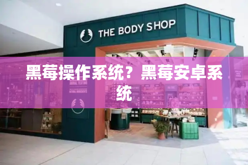 黑莓操作系统？黑莓安卓系统
