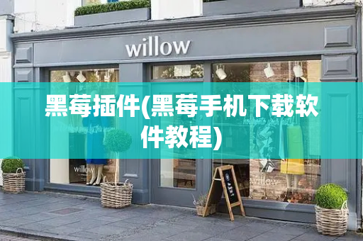 黑莓插件(黑莓手机下载软件教程)