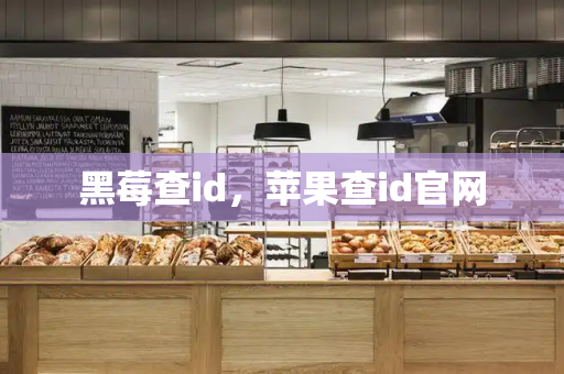 黑莓查id，苹果查id官网-第1张图片-星选测评