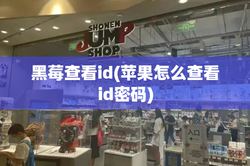 黑莓查看id(苹果怎么查看id密码)-第1张图片-星选测评