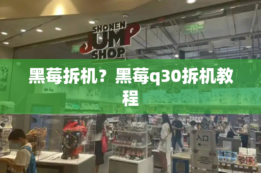黑莓拆机？黑莓q30拆机教程-第1张图片-星选测评