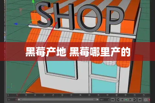 黑莓产地 黑莓哪里产的-第1张图片-星选测评