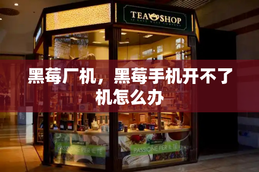 黑莓厂机，黑莓手机开不了机怎么办-第1张图片-星选测评