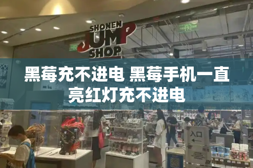 黑莓充不进电 黑莓手机一直亮红灯充不进电
