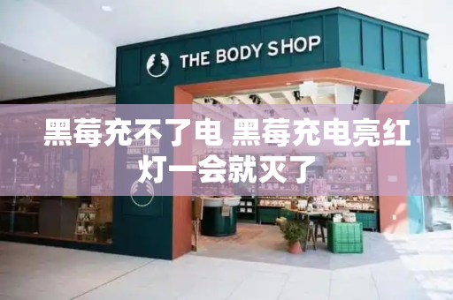 黑莓充不了电 黑莓充电亮红灯一会就灭了