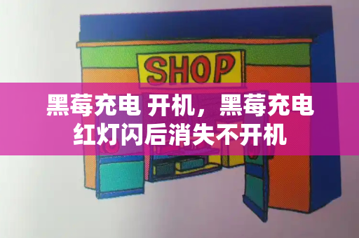黑莓充电 开机，黑莓充电红灯闪后消失不开机