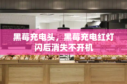 黑莓充电头，黑莓充电红灯闪后消失不开机-第1张图片-星选测评